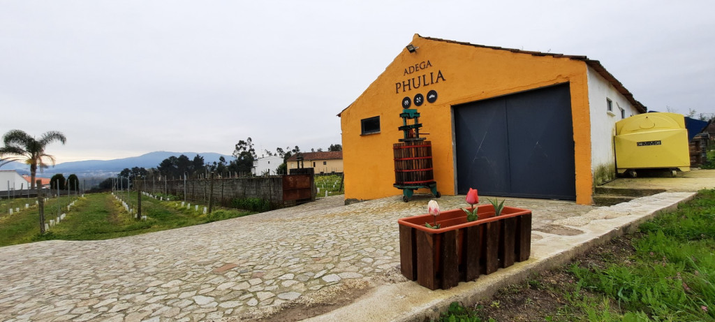 Phulia Wines